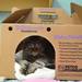 George peers from inside a box while hanging out in a kitty room at the Humane Society of Huron Valley.  Melanie Maxwell I AnnArbor.com